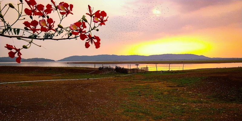 mini murrah farm, minizoo, sea walk, คุ้มวิมานดิน, ฉะเชิงเทรา, ฉะเชิงเทรา 2566, ตลาด 2 จังหวัด, ตลาดคลองสวน, ตลาดน้ำบางคล้า, ตลาดบ้านใหม่, ตลาดบ้านใหม่ 100 ปี, ตลาดบ้านใหม่ เมืองแปดริ้ว, ตลาดเก่าคลองสวน, ตลาดเก่าคลองสวน 100 ปี, ที่เที่ยวฉะเชิงเทรา, ที่เที่ยวฉะเชิงเทรา 2023, ที่เที่ยวฉะเชิงเทรา 2024, ที่เที่ยวฉะเชิงเทรา 2566, ที่เที่ยวฉะเชิงเทรา 2567, ที่เที่ยวแปดริ้ว, น้ำตกฉะเชิงเทรา, น้ำตกบ่อทราย, บ้านบางพุทรา, บ้านสวนเมล่อน, ปั้นดินเหนียวฉะเชิงเทรา, พระมหาเจดีย์สแตนเลส, พระอุโบสถแก้วกลางน้ำ, ฟาร์มนก ฉะเชิงเทรา, มินิมูร่าฟาร์ม, รังนกแลนด์ by นกแปดริ้ว, วัดกลางน้ำ, วัดปากน้ำโจ้โล้, วัดป่าเขาล้อม, วัดพระพิฆเนศองค์ใหญ่, วัดวีระโชติธรรมาราม, วัดสมานรัตนาราม, วัดหงษ์ทอง, วัดหลวงพ่อโสธร, วัดหัวสวน, วัดโพรงอากาศ, วัดโสธรวรารามวรวิหาร, สวนปาล์มฟาร์มนก, หลวงพ่อพันปีศรีตะเคียนทอง, หลวงพ่อพุทธโสธร, หลวงพ่อโสธร, องค์พระพิฆเนศปางนอนเสวยสุข, อ่างเก็บน้ำคลองสียัด, อ่างเก็บน้ำเขื่อนระบม, อ่างเก็บน้ำเขื่อนระบมทะเลน้ำจืด, อุโบสถสีทอง, อุโบสถสแตนเลส, ฮอลลีวูดบ้านนา บ้านบางพุทรา, เขื่อนคลองสียัด, เที่ยวฉะเชิงเทรา, เที่ยวฉะเชิงเทรา 2023, เที่ยวฉะเชิงเทรา 2024, เที่ยวฉะเชิงเทรา 2567, เที่ยวแปดริ้ว, แปดริ้ว, top 20+ ที่เที่ยวฉะเชิงเทรา [กรกฎาคม 2024] เที่ยววัด ชมธรรมชาติ เดินตลาด เมืองแปดริ้ว