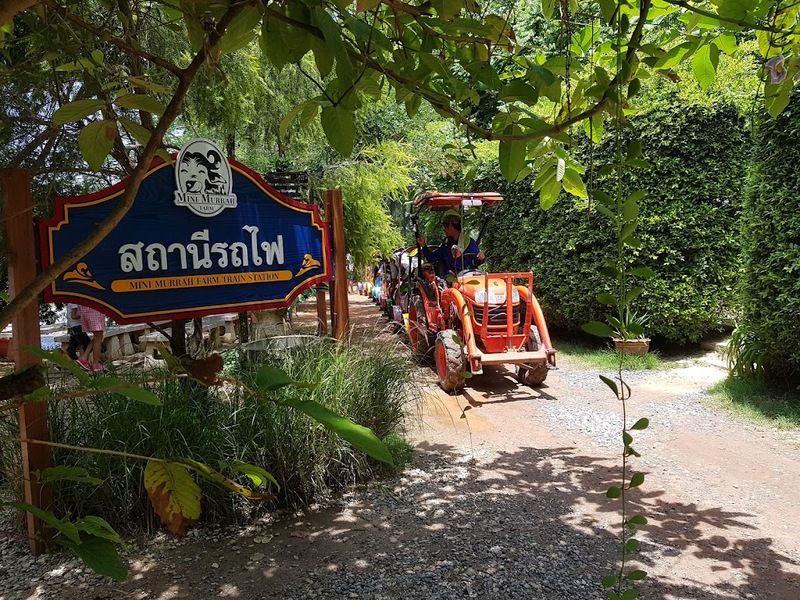 mini murrah farm, minizoo, sea walk, คุ้มวิมานดิน, ฉะเชิงเทรา, ฉะเชิงเทรา 2566, ตลาด 2 จังหวัด, ตลาดคลองสวน, ตลาดน้ำบางคล้า, ตลาดบ้านใหม่, ตลาดบ้านใหม่ 100 ปี, ตลาดบ้านใหม่ เมืองแปดริ้ว, ตลาดเก่าคลองสวน, ตลาดเก่าคลองสวน 100 ปี, ที่เที่ยวฉะเชิงเทรา, ที่เที่ยวฉะเชิงเทรา 2023, ที่เที่ยวฉะเชิงเทรา 2024, ที่เที่ยวฉะเชิงเทรา 2566, ที่เที่ยวฉะเชิงเทรา 2567, ที่เที่ยวแปดริ้ว, น้ำตกฉะเชิงเทรา, น้ำตกบ่อทราย, บ้านบางพุทรา, บ้านสวนเมล่อน, ปั้นดินเหนียวฉะเชิงเทรา, พระมหาเจดีย์สแตนเลส, พระอุโบสถแก้วกลางน้ำ, ฟาร์มนก ฉะเชิงเทรา, มินิมูร่าฟาร์ม, รังนกแลนด์ by นกแปดริ้ว, วัดกลางน้ำ, วัดปากน้ำโจ้โล้, วัดป่าเขาล้อม, วัดพระพิฆเนศองค์ใหญ่, วัดวีระโชติธรรมาราม, วัดสมานรัตนาราม, วัดหงษ์ทอง, วัดหลวงพ่อโสธร, วัดหัวสวน, วัดโพรงอากาศ, วัดโสธรวรารามวรวิหาร, สวนปาล์มฟาร์มนก, หลวงพ่อพันปีศรีตะเคียนทอง, หลวงพ่อพุทธโสธร, หลวงพ่อโสธร, องค์พระพิฆเนศปางนอนเสวยสุข, อ่างเก็บน้ำคลองสียัด, อ่างเก็บน้ำเขื่อนระบม, อ่างเก็บน้ำเขื่อนระบมทะเลน้ำจืด, อุโบสถสีทอง, อุโบสถสแตนเลส, ฮอลลีวูดบ้านนา บ้านบางพุทรา, เขื่อนคลองสียัด, เที่ยวฉะเชิงเทรา, เที่ยวฉะเชิงเทรา 2023, เที่ยวฉะเชิงเทรา 2024, เที่ยวฉะเชิงเทรา 2567, เที่ยวแปดริ้ว, แปดริ้ว, top 20+ ที่เที่ยวฉะเชิงเทรา [กรกฎาคม 2024] เที่ยววัด ชมธรรมชาติ เดินตลาด เมืองแปดริ้ว