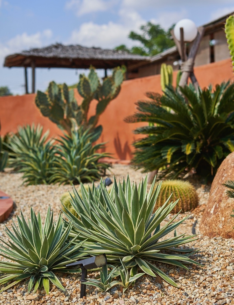 mini murrah farm, minizoo, sea walk, คุ้มวิมานดิน, ฉะเชิงเทรา, ฉะเชิงเทรา 2566, ตลาด 2 จังหวัด, ตลาดคลองสวน, ตลาดน้ำบางคล้า, ตลาดบ้านใหม่, ตลาดบ้านใหม่ 100 ปี, ตลาดบ้านใหม่ เมืองแปดริ้ว, ตลาดเก่าคลองสวน, ตลาดเก่าคลองสวน 100 ปี, ที่เที่ยวฉะเชิงเทรา, ที่เที่ยวฉะเชิงเทรา 2023, ที่เที่ยวฉะเชิงเทรา 2024, ที่เที่ยวฉะเชิงเทรา 2566, ที่เที่ยวฉะเชิงเทรา 2567, ที่เที่ยวแปดริ้ว, น้ำตกฉะเชิงเทรา, น้ำตกบ่อทราย, บ้านบางพุทรา, บ้านสวนเมล่อน, ปั้นดินเหนียวฉะเชิงเทรา, พระมหาเจดีย์สแตนเลส, พระอุโบสถแก้วกลางน้ำ, ฟาร์มนก ฉะเชิงเทรา, มินิมูร่าฟาร์ม, รังนกแลนด์ by นกแปดริ้ว, วัดกลางน้ำ, วัดปากน้ำโจ้โล้, วัดป่าเขาล้อม, วัดพระพิฆเนศองค์ใหญ่, วัดวีระโชติธรรมาราม, วัดสมานรัตนาราม, วัดหงษ์ทอง, วัดหลวงพ่อโสธร, วัดหัวสวน, วัดโพรงอากาศ, วัดโสธรวรารามวรวิหาร, สวนปาล์มฟาร์มนก, หลวงพ่อพันปีศรีตะเคียนทอง, หลวงพ่อพุทธโสธร, หลวงพ่อโสธร, องค์พระพิฆเนศปางนอนเสวยสุข, อ่างเก็บน้ำคลองสียัด, อ่างเก็บน้ำเขื่อนระบม, อ่างเก็บน้ำเขื่อนระบมทะเลน้ำจืด, อุโบสถสีทอง, อุโบสถสแตนเลส, ฮอลลีวูดบ้านนา บ้านบางพุทรา, เขื่อนคลองสียัด, เที่ยวฉะเชิงเทรา, เที่ยวฉะเชิงเทรา 2023, เที่ยวฉะเชิงเทรา 2024, เที่ยวฉะเชิงเทรา 2567, เที่ยวแปดริ้ว, แปดริ้ว, top 20+ ที่เที่ยวฉะเชิงเทรา [กรกฎาคม 2024] เที่ยววัด ชมธรรมชาติ เดินตลาด เมืองแปดริ้ว