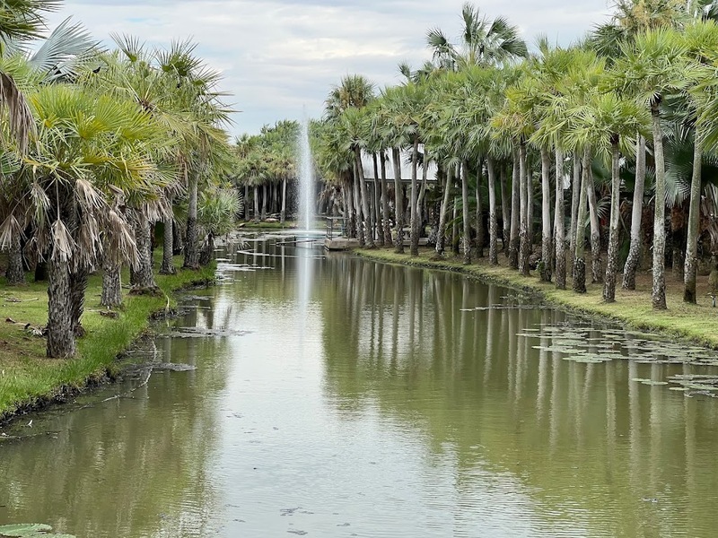 mini murrah farm, minizoo, sea walk, คุ้มวิมานดิน, ฉะเชิงเทรา, ฉะเชิงเทรา 2566, ตลาด 2 จังหวัด, ตลาดคลองสวน, ตลาดน้ำบางคล้า, ตลาดบ้านใหม่, ตลาดบ้านใหม่ 100 ปี, ตลาดบ้านใหม่ เมืองแปดริ้ว, ตลาดเก่าคลองสวน, ตลาดเก่าคลองสวน 100 ปี, ที่เที่ยวฉะเชิงเทรา, ที่เที่ยวฉะเชิงเทรา 2023, ที่เที่ยวฉะเชิงเทรา 2024, ที่เที่ยวฉะเชิงเทรา 2566, ที่เที่ยวฉะเชิงเทรา 2567, ที่เที่ยวแปดริ้ว, น้ำตกฉะเชิงเทรา, น้ำตกบ่อทราย, บ้านบางพุทรา, บ้านสวนเมล่อน, ปั้นดินเหนียวฉะเชิงเทรา, พระมหาเจดีย์สแตนเลส, พระอุโบสถแก้วกลางน้ำ, ฟาร์มนก ฉะเชิงเทรา, มินิมูร่าฟาร์ม, รังนกแลนด์ by นกแปดริ้ว, วัดกลางน้ำ, วัดปากน้ำโจ้โล้, วัดป่าเขาล้อม, วัดพระพิฆเนศองค์ใหญ่, วัดวีระโชติธรรมาราม, วัดสมานรัตนาราม, วัดหงษ์ทอง, วัดหลวงพ่อโสธร, วัดหัวสวน, วัดโพรงอากาศ, วัดโสธรวรารามวรวิหาร, สวนปาล์มฟาร์มนก, หลวงพ่อพันปีศรีตะเคียนทอง, หลวงพ่อพุทธโสธร, หลวงพ่อโสธร, องค์พระพิฆเนศปางนอนเสวยสุข, อ่างเก็บน้ำคลองสียัด, อ่างเก็บน้ำเขื่อนระบม, อ่างเก็บน้ำเขื่อนระบมทะเลน้ำจืด, อุโบสถสีทอง, อุโบสถสแตนเลส, ฮอลลีวูดบ้านนา บ้านบางพุทรา, เขื่อนคลองสียัด, เที่ยวฉะเชิงเทรา, เที่ยวฉะเชิงเทรา 2023, เที่ยวฉะเชิงเทรา 2024, เที่ยวฉะเชิงเทรา 2567, เที่ยวแปดริ้ว, แปดริ้ว, top 20+ ที่เที่ยวฉะเชิงเทรา [กรกฎาคม 2024] เที่ยววัด ชมธรรมชาติ เดินตลาด เมืองแปดริ้ว