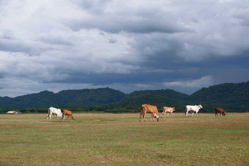 mini murrah farm, minizoo, sea walk, คุ้มวิมานดิน, ฉะเชิงเทรา, ฉะเชิงเทรา 2566, ตลาด 2 จังหวัด, ตลาดคลองสวน, ตลาดน้ำบางคล้า, ตลาดบ้านใหม่, ตลาดบ้านใหม่ 100 ปี, ตลาดบ้านใหม่ เมืองแปดริ้ว, ตลาดเก่าคลองสวน, ตลาดเก่าคลองสวน 100 ปี, ที่เที่ยวฉะเชิงเทรา, ที่เที่ยวฉะเชิงเทรา 2023, ที่เที่ยวฉะเชิงเทรา 2024, ที่เที่ยวฉะเชิงเทรา 2566, ที่เที่ยวฉะเชิงเทรา 2567, ที่เที่ยวแปดริ้ว, น้ำตกฉะเชิงเทรา, น้ำตกบ่อทราย, บ้านบางพุทรา, บ้านสวนเมล่อน, ปั้นดินเหนียวฉะเชิงเทรา, พระมหาเจดีย์สแตนเลส, พระอุโบสถแก้วกลางน้ำ, ฟาร์มนก ฉะเชิงเทรา, มินิมูร่าฟาร์ม, รังนกแลนด์ by นกแปดริ้ว, วัดกลางน้ำ, วัดปากน้ำโจ้โล้, วัดป่าเขาล้อม, วัดพระพิฆเนศองค์ใหญ่, วัดวีระโชติธรรมาราม, วัดสมานรัตนาราม, วัดหงษ์ทอง, วัดหลวงพ่อโสธร, วัดหัวสวน, วัดโพรงอากาศ, วัดโสธรวรารามวรวิหาร, สวนปาล์มฟาร์มนก, หลวงพ่อพันปีศรีตะเคียนทอง, หลวงพ่อพุทธโสธร, หลวงพ่อโสธร, องค์พระพิฆเนศปางนอนเสวยสุข, อ่างเก็บน้ำคลองสียัด, อ่างเก็บน้ำเขื่อนระบม, อ่างเก็บน้ำเขื่อนระบมทะเลน้ำจืด, อุโบสถสีทอง, อุโบสถสแตนเลส, ฮอลลีวูดบ้านนา บ้านบางพุทรา, เขื่อนคลองสียัด, เที่ยวฉะเชิงเทรา, เที่ยวฉะเชิงเทรา 2023, เที่ยวฉะเชิงเทรา 2024, เที่ยวฉะเชิงเทรา 2567, เที่ยวแปดริ้ว, แปดริ้ว, top 20+ ที่เที่ยวฉะเชิงเทรา [กรกฎาคม 2024] เที่ยววัด ชมธรรมชาติ เดินตลาด เมืองแปดริ้ว
