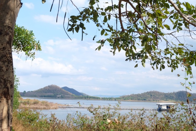 mini murrah farm, minizoo, sea walk, คุ้มวิมานดิน, ฉะเชิงเทรา, ฉะเชิงเทรา 2566, ตลาด 2 จังหวัด, ตลาดคลองสวน, ตลาดน้ำบางคล้า, ตลาดบ้านใหม่, ตลาดบ้านใหม่ 100 ปี, ตลาดบ้านใหม่ เมืองแปดริ้ว, ตลาดเก่าคลองสวน, ตลาดเก่าคลองสวน 100 ปี, ที่เที่ยวฉะเชิงเทรา, ที่เที่ยวฉะเชิงเทรา 2023, ที่เที่ยวฉะเชิงเทรา 2024, ที่เที่ยวฉะเชิงเทรา 2566, ที่เที่ยวฉะเชิงเทรา 2567, ที่เที่ยวแปดริ้ว, น้ำตกฉะเชิงเทรา, น้ำตกบ่อทราย, บ้านบางพุทรา, บ้านสวนเมล่อน, ปั้นดินเหนียวฉะเชิงเทรา, พระมหาเจดีย์สแตนเลส, พระอุโบสถแก้วกลางน้ำ, ฟาร์มนก ฉะเชิงเทรา, มินิมูร่าฟาร์ม, รังนกแลนด์ by นกแปดริ้ว, วัดกลางน้ำ, วัดปากน้ำโจ้โล้, วัดป่าเขาล้อม, วัดพระพิฆเนศองค์ใหญ่, วัดวีระโชติธรรมาราม, วัดสมานรัตนาราม, วัดหงษ์ทอง, วัดหลวงพ่อโสธร, วัดหัวสวน, วัดโพรงอากาศ, วัดโสธรวรารามวรวิหาร, สวนปาล์มฟาร์มนก, หลวงพ่อพันปีศรีตะเคียนทอง, หลวงพ่อพุทธโสธร, หลวงพ่อโสธร, องค์พระพิฆเนศปางนอนเสวยสุข, อ่างเก็บน้ำคลองสียัด, อ่างเก็บน้ำเขื่อนระบม, อ่างเก็บน้ำเขื่อนระบมทะเลน้ำจืด, อุโบสถสีทอง, อุโบสถสแตนเลส, ฮอลลีวูดบ้านนา บ้านบางพุทรา, เขื่อนคลองสียัด, เที่ยวฉะเชิงเทรา, เที่ยวฉะเชิงเทรา 2023, เที่ยวฉะเชิงเทรา 2024, เที่ยวฉะเชิงเทรา 2567, เที่ยวแปดริ้ว, แปดริ้ว, top 20+ ที่เที่ยวฉะเชิงเทรา [กรกฎาคม 2024] เที่ยววัด ชมธรรมชาติ เดินตลาด เมืองแปดริ้ว