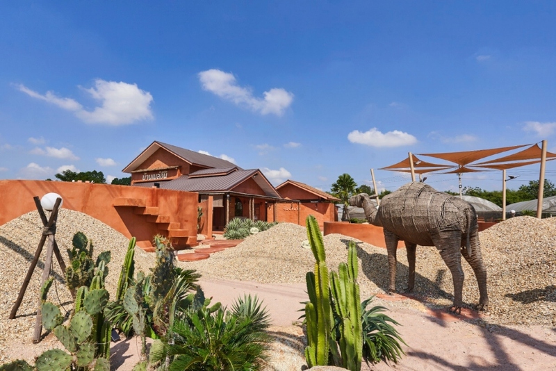 mini murrah farm, minizoo, sea walk, คุ้มวิมานดิน, ฉะเชิงเทรา, ฉะเชิงเทรา 2566, ตลาด 2 จังหวัด, ตลาดคลองสวน, ตลาดน้ำบางคล้า, ตลาดบ้านใหม่, ตลาดบ้านใหม่ 100 ปี, ตลาดบ้านใหม่ เมืองแปดริ้ว, ตลาดเก่าคลองสวน, ตลาดเก่าคลองสวน 100 ปี, ที่เที่ยวฉะเชิงเทรา, ที่เที่ยวฉะเชิงเทรา 2023, ที่เที่ยวฉะเชิงเทรา 2024, ที่เที่ยวฉะเชิงเทรา 2566, ที่เที่ยวฉะเชิงเทรา 2567, ที่เที่ยวแปดริ้ว, น้ำตกฉะเชิงเทรา, น้ำตกบ่อทราย, บ้านบางพุทรา, บ้านสวนเมล่อน, ปั้นดินเหนียวฉะเชิงเทรา, พระมหาเจดีย์สแตนเลส, พระอุโบสถแก้วกลางน้ำ, ฟาร์มนก ฉะเชิงเทรา, มินิมูร่าฟาร์ม, รังนกแลนด์ by นกแปดริ้ว, วัดกลางน้ำ, วัดปากน้ำโจ้โล้, วัดป่าเขาล้อม, วัดพระพิฆเนศองค์ใหญ่, วัดวีระโชติธรรมาราม, วัดสมานรัตนาราม, วัดหงษ์ทอง, วัดหลวงพ่อโสธร, วัดหัวสวน, วัดโพรงอากาศ, วัดโสธรวรารามวรวิหาร, สวนปาล์มฟาร์มนก, หลวงพ่อพันปีศรีตะเคียนทอง, หลวงพ่อพุทธโสธร, หลวงพ่อโสธร, องค์พระพิฆเนศปางนอนเสวยสุข, อ่างเก็บน้ำคลองสียัด, อ่างเก็บน้ำเขื่อนระบม, อ่างเก็บน้ำเขื่อนระบมทะเลน้ำจืด, อุโบสถสีทอง, อุโบสถสแตนเลส, ฮอลลีวูดบ้านนา บ้านบางพุทรา, เขื่อนคลองสียัด, เที่ยวฉะเชิงเทรา, เที่ยวฉะเชิงเทรา 2023, เที่ยวฉะเชิงเทรา 2024, เที่ยวฉะเชิงเทรา 2567, เที่ยวแปดริ้ว, แปดริ้ว, top 20+ ที่เที่ยวฉะเชิงเทรา [กรกฎาคม 2024] เที่ยววัด ชมธรรมชาติ เดินตลาด เมืองแปดริ้ว