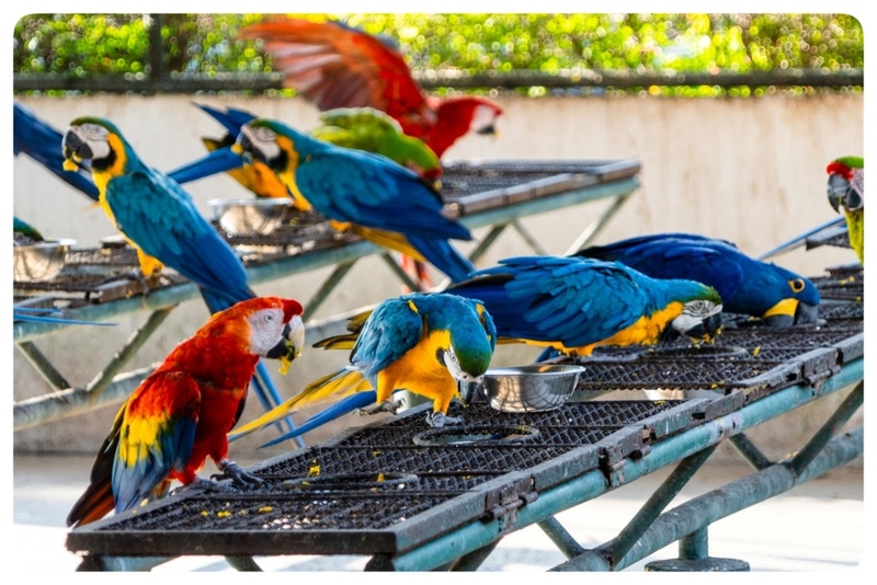 mini murrah farm, minizoo, sea walk, คุ้มวิมานดิน, ฉะเชิงเทรา, ฉะเชิงเทรา 2566, ตลาด 2 จังหวัด, ตลาดคลองสวน, ตลาดน้ำบางคล้า, ตลาดบ้านใหม่, ตลาดบ้านใหม่ 100 ปี, ตลาดบ้านใหม่ เมืองแปดริ้ว, ตลาดเก่าคลองสวน, ตลาดเก่าคลองสวน 100 ปี, ที่เที่ยวฉะเชิงเทรา, ที่เที่ยวฉะเชิงเทรา 2023, ที่เที่ยวฉะเชิงเทรา 2024, ที่เที่ยวฉะเชิงเทรา 2566, ที่เที่ยวฉะเชิงเทรา 2567, ที่เที่ยวแปดริ้ว, น้ำตกฉะเชิงเทรา, น้ำตกบ่อทราย, บ้านบางพุทรา, บ้านสวนเมล่อน, ปั้นดินเหนียวฉะเชิงเทรา, พระมหาเจดีย์สแตนเลส, พระอุโบสถแก้วกลางน้ำ, ฟาร์มนก ฉะเชิงเทรา, มินิมูร่าฟาร์ม, รังนกแลนด์ by นกแปดริ้ว, วัดกลางน้ำ, วัดปากน้ำโจ้โล้, วัดป่าเขาล้อม, วัดพระพิฆเนศองค์ใหญ่, วัดวีระโชติธรรมาราม, วัดสมานรัตนาราม, วัดหงษ์ทอง, วัดหลวงพ่อโสธร, วัดหัวสวน, วัดโพรงอากาศ, วัดโสธรวรารามวรวิหาร, สวนปาล์มฟาร์มนก, หลวงพ่อพันปีศรีตะเคียนทอง, หลวงพ่อพุทธโสธร, หลวงพ่อโสธร, องค์พระพิฆเนศปางนอนเสวยสุข, อ่างเก็บน้ำคลองสียัด, อ่างเก็บน้ำเขื่อนระบม, อ่างเก็บน้ำเขื่อนระบมทะเลน้ำจืด, อุโบสถสีทอง, อุโบสถสแตนเลส, ฮอลลีวูดบ้านนา บ้านบางพุทรา, เขื่อนคลองสียัด, เที่ยวฉะเชิงเทรา, เที่ยวฉะเชิงเทรา 2023, เที่ยวฉะเชิงเทรา 2024, เที่ยวฉะเชิงเทรา 2567, เที่ยวแปดริ้ว, แปดริ้ว, top 20+ ที่เที่ยวฉะเชิงเทรา [กรกฎาคม 2024] เที่ยววัด ชมธรรมชาติ เดินตลาด เมืองแปดริ้ว