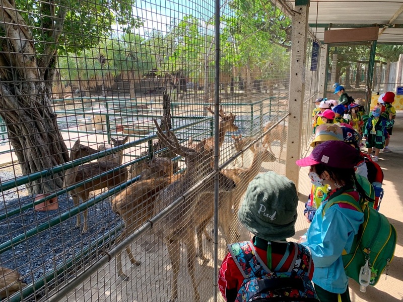 mini murrah farm, minizoo, sea walk, คุ้มวิมานดิน, ฉะเชิงเทรา, ฉะเชิงเทรา 2566, ตลาด 2 จังหวัด, ตลาดคลองสวน, ตลาดน้ำบางคล้า, ตลาดบ้านใหม่, ตลาดบ้านใหม่ 100 ปี, ตลาดบ้านใหม่ เมืองแปดริ้ว, ตลาดเก่าคลองสวน, ตลาดเก่าคลองสวน 100 ปี, ที่เที่ยวฉะเชิงเทรา, ที่เที่ยวฉะเชิงเทรา 2023, ที่เที่ยวฉะเชิงเทรา 2024, ที่เที่ยวฉะเชิงเทรา 2566, ที่เที่ยวฉะเชิงเทรา 2567, ที่เที่ยวแปดริ้ว, น้ำตกฉะเชิงเทรา, น้ำตกบ่อทราย, บ้านบางพุทรา, บ้านสวนเมล่อน, ปั้นดินเหนียวฉะเชิงเทรา, พระมหาเจดีย์สแตนเลส, พระอุโบสถแก้วกลางน้ำ, ฟาร์มนก ฉะเชิงเทรา, มินิมูร่าฟาร์ม, รังนกแลนด์ by นกแปดริ้ว, วัดกลางน้ำ, วัดปากน้ำโจ้โล้, วัดป่าเขาล้อม, วัดพระพิฆเนศองค์ใหญ่, วัดวีระโชติธรรมาราม, วัดสมานรัตนาราม, วัดหงษ์ทอง, วัดหลวงพ่อโสธร, วัดหัวสวน, วัดโพรงอากาศ, วัดโสธรวรารามวรวิหาร, สวนปาล์มฟาร์มนก, หลวงพ่อพันปีศรีตะเคียนทอง, หลวงพ่อพุทธโสธร, หลวงพ่อโสธร, องค์พระพิฆเนศปางนอนเสวยสุข, อ่างเก็บน้ำคลองสียัด, อ่างเก็บน้ำเขื่อนระบม, อ่างเก็บน้ำเขื่อนระบมทะเลน้ำจืด, อุโบสถสีทอง, อุโบสถสแตนเลส, ฮอลลีวูดบ้านนา บ้านบางพุทรา, เขื่อนคลองสียัด, เที่ยวฉะเชิงเทรา, เที่ยวฉะเชิงเทรา 2023, เที่ยวฉะเชิงเทรา 2024, เที่ยวฉะเชิงเทรา 2567, เที่ยวแปดริ้ว, แปดริ้ว, top 20+ ที่เที่ยวฉะเชิงเทรา [กรกฎาคม 2024] เที่ยววัด ชมธรรมชาติ เดินตลาด เมืองแปดริ้ว