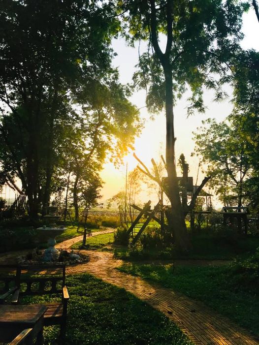 คาเฟ่สระบุรี คาเฟ่น่านั่ง บรรยากาศดี กาแฟอร่อย พิกัดเด็ดที่สาย cafe hopper ต้องแวะ!