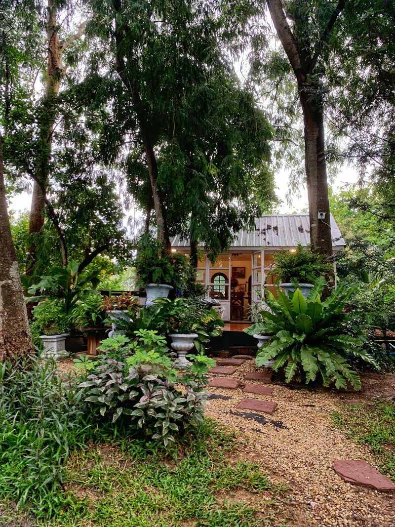 คาเฟ่สระบุรี คาเฟ่น่านั่ง บรรยากาศดี กาแฟอร่อย พิกัดเด็ดที่สาย cafe hopper ต้องแวะ!