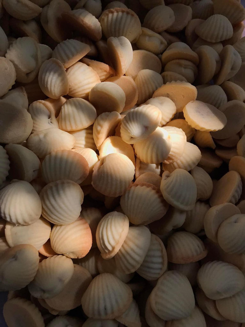 top 15+ ร้านคาเฟ่ย่านปากเกร็ด ใครเห็นเป็นต้องแวะไปเช็คอิน