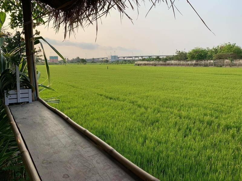 top 15+ ร้านคาเฟ่ย่านปากเกร็ด ใครเห็นเป็นต้องแวะไปเช็คอิน