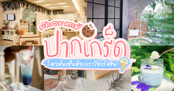 top 15+ ร้านคาเฟ่ย่านปากเกร็ด ใครเห็นเป็นต้องแวะไปเช็คอิน