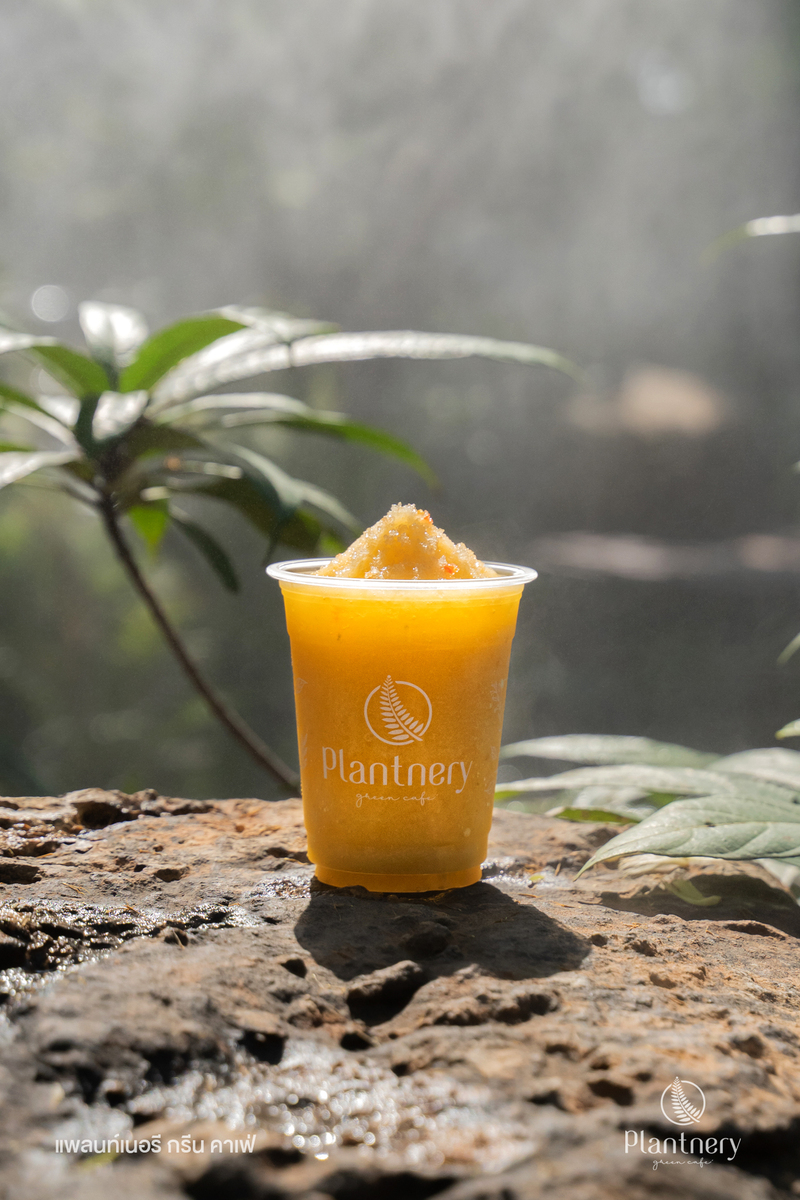 top 15+ ร้านคาเฟ่ย่านปากเกร็ด ใครเห็นเป็นต้องแวะไปเช็คอิน