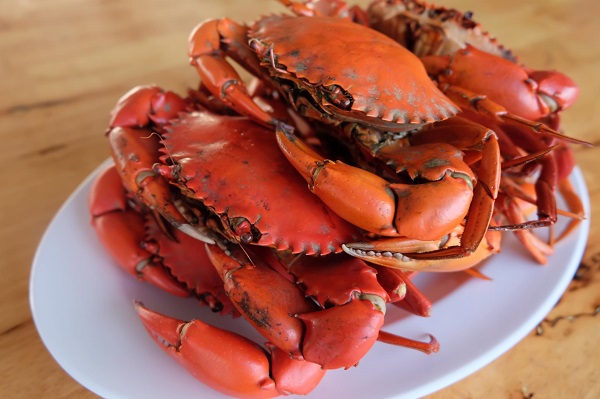 จันทบุรี, top 9+ โฮมสเตย์จันทบุรี 2567 ที่พัก กินปู พร้อมกิจกรรม อิ่มอร่อยได้ไม่อั้น