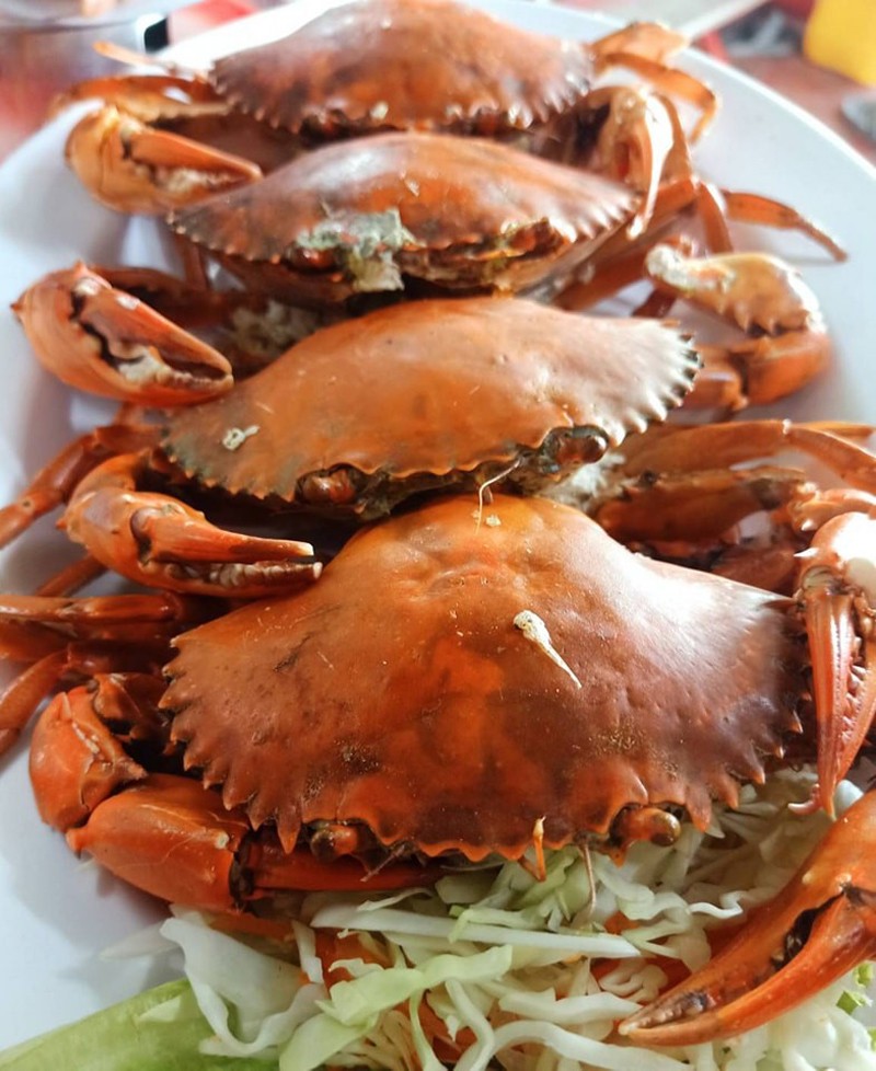 top 8+ ร้านอาหารสมุทรสาคร 2567 บุฟเฟ่ต์อาหารทะเล อาหารทะเลสดๆ แน่นๆ ราคาถูก