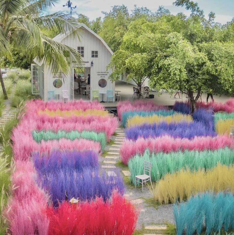 top 19+ คาเฟ่สามพราน บรรยากาศชิลๆ น่าถ่ายรูป @นครปฐม