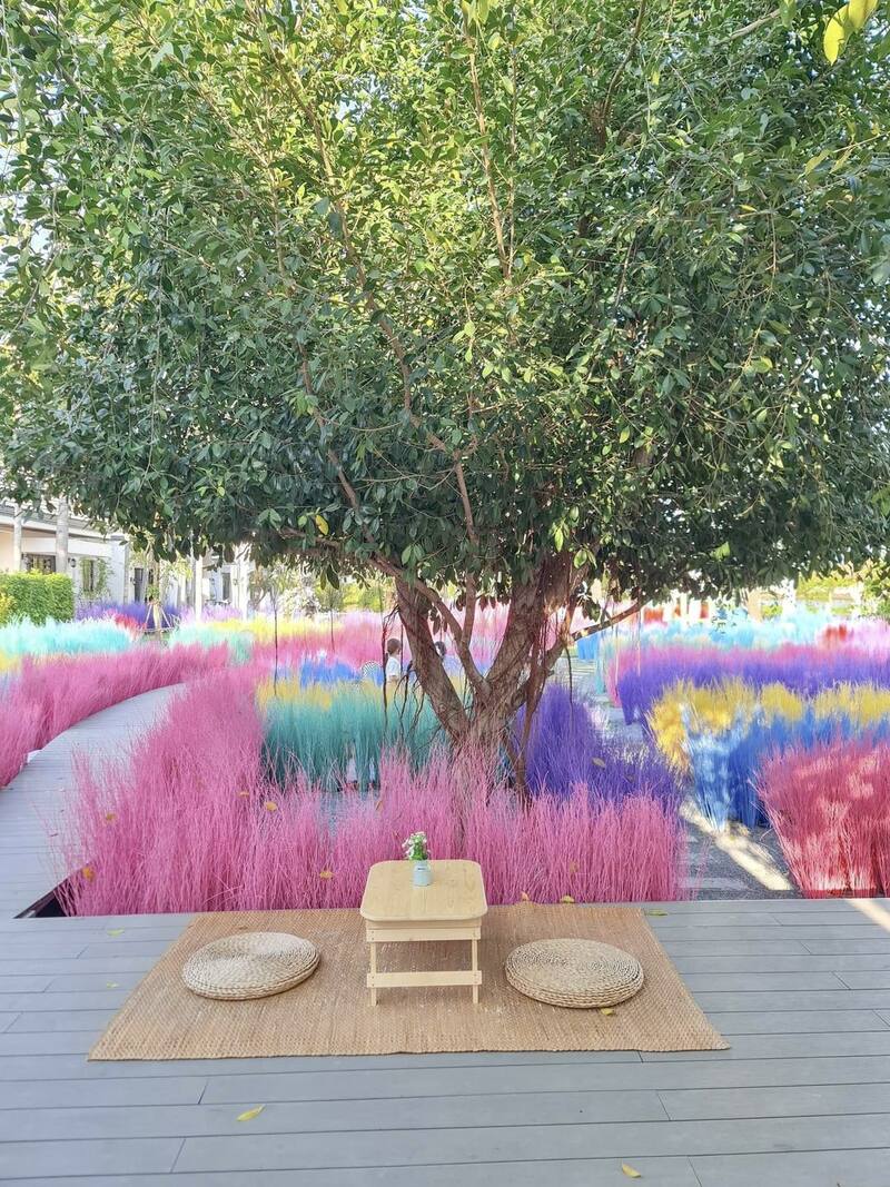 top 19+ คาเฟ่สามพราน บรรยากาศชิลๆ น่าถ่ายรูป @นครปฐม