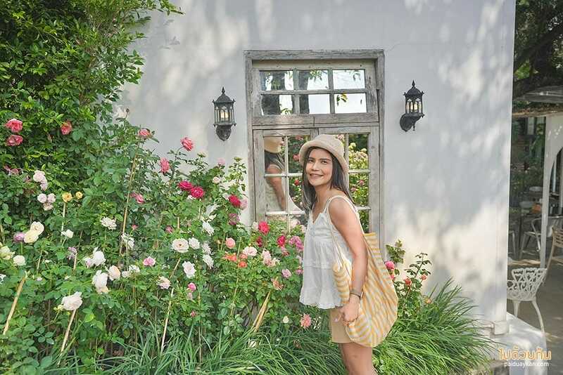 ม่อนแจ่ม, คาเฟ่ม่อนแจ่ม, fleur cafe คาเฟ่แม่ริม ในสวนสไตล์ยุโรป ดอกกุหลาบสวยมาก
