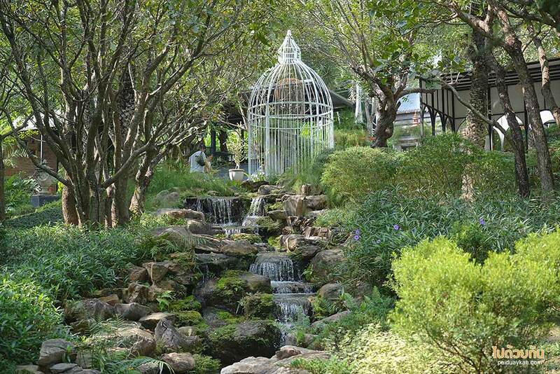 ม่อนแจ่ม, คาเฟ่ม่อนแจ่ม, fleur cafe คาเฟ่แม่ริม ในสวนสไตล์ยุโรป ดอกกุหลาบสวยมาก