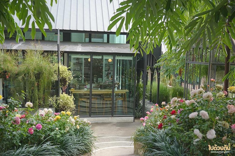 ม่อนแจ่ม, คาเฟ่ม่อนแจ่ม, fleur cafe คาเฟ่แม่ริม ในสวนสไตล์ยุโรป ดอกกุหลาบสวยมาก