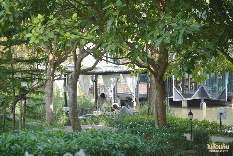 ม่อนแจ่ม, คาเฟ่ม่อนแจ่ม, fleur cafe คาเฟ่แม่ริม ในสวนสไตล์ยุโรป ดอกกุหลาบสวยมาก