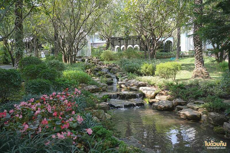 ม่อนแจ่ม, คาเฟ่ม่อนแจ่ม, fleur cafe คาเฟ่แม่ริม ในสวนสไตล์ยุโรป ดอกกุหลาบสวยมาก