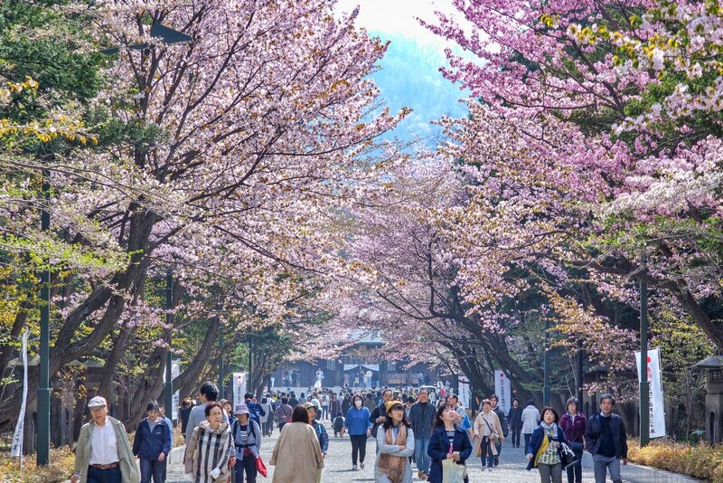 ขบวนนักรบซามูไร, ซับโปโร ไลแลค, ซัปโปโร, ซูโม่ ฤดูร้อน, ดอกไลแลค, ธงปลาคาร์พ, นิกโก้, ฟ้อนรำเกอิชา, วันเด็กผู้ชาย, วันเด็กผู้ชาย ญี่ปุ่น, ศาลเจ้า นิกโก้, ศาลเจ้าโทโชกุ, สถานที่เที่ยวนิกโก้, สวนสาธารณะโอโดริ, สวนโอโดริ, เกอิชา, เทศกาลคาโมะ, เทศกาลชุนกิ เรไทไซ, เทศกาลอาโออิ, เทศกาลเบียร์ ญี่ปุ่น, เทศกาลเบียร์อุเอะโดะ, เทศกาลแข่งว่าว, เทศกาลในญี่ปุ่น, เที่ยวซัปโปโร, เที่ยวญี่ปุ่น, เที่ยวญี่ปุ่น พฤษภาคม, เที่ยวนิกโก้, เที่ยวโอซาก้า, โอซาก้า, top 12+ เทศกาลน่าไป เมื่อไปเที่ยวประเทศญี่ปุ่น ในเดือนพฤษภาคม 2024