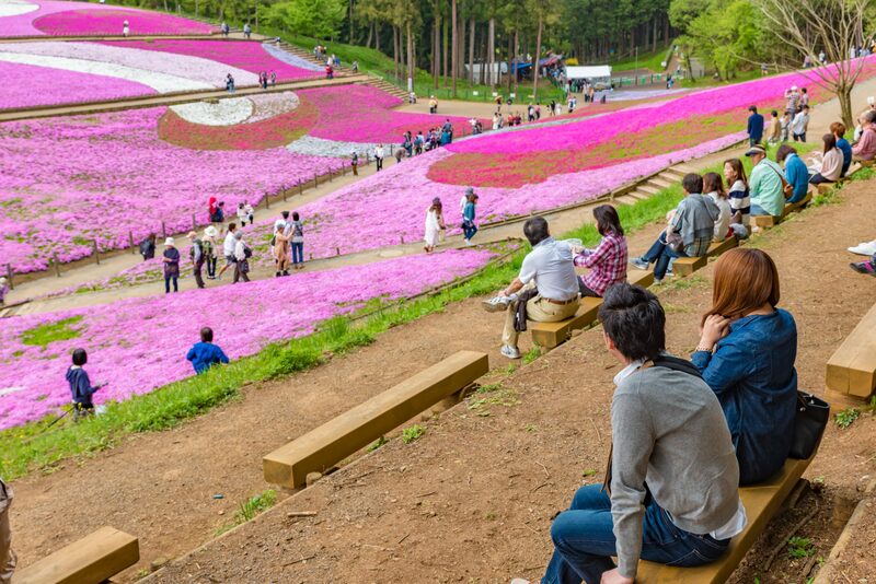 ขบวนนักรบซามูไร, ซับโปโร ไลแลค, ซัปโปโร, ซูโม่ ฤดูร้อน, ดอกไลแลค, ธงปลาคาร์พ, นิกโก้, ฟ้อนรำเกอิชา, วันเด็กผู้ชาย, วันเด็กผู้ชาย ญี่ปุ่น, ศาลเจ้า นิกโก้, ศาลเจ้าโทโชกุ, สถานที่เที่ยวนิกโก้, สวนสาธารณะโอโดริ, สวนโอโดริ, เกอิชา, เทศกาลคาโมะ, เทศกาลชุนกิ เรไทไซ, เทศกาลอาโออิ, เทศกาลเบียร์ ญี่ปุ่น, เทศกาลเบียร์อุเอะโดะ, เทศกาลแข่งว่าว, เทศกาลในญี่ปุ่น, เที่ยวซัปโปโร, เที่ยวญี่ปุ่น, เที่ยวญี่ปุ่น พฤษภาคม, เที่ยวนิกโก้, เที่ยวโอซาก้า, โอซาก้า, top 12+ เทศกาลน่าไป เมื่อไปเที่ยวประเทศญี่ปุ่น ในเดือนพฤษภาคม 2024