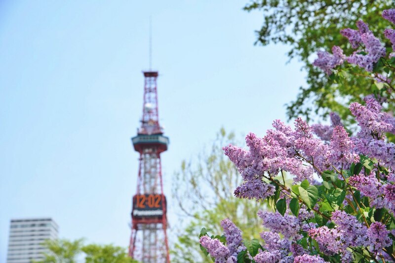 ขบวนนักรบซามูไร, ซับโปโร ไลแลค, ซัปโปโร, ซูโม่ ฤดูร้อน, ดอกไลแลค, ธงปลาคาร์พ, นิกโก้, ฟ้อนรำเกอิชา, วันเด็กผู้ชาย, วันเด็กผู้ชาย ญี่ปุ่น, ศาลเจ้า นิกโก้, ศาลเจ้าโทโชกุ, สถานที่เที่ยวนิกโก้, สวนสาธารณะโอโดริ, สวนโอโดริ, เกอิชา, เทศกาลคาโมะ, เทศกาลชุนกิ เรไทไซ, เทศกาลอาโออิ, เทศกาลเบียร์ ญี่ปุ่น, เทศกาลเบียร์อุเอะโดะ, เทศกาลแข่งว่าว, เทศกาลในญี่ปุ่น, เที่ยวซัปโปโร, เที่ยวญี่ปุ่น, เที่ยวญี่ปุ่น พฤษภาคม, เที่ยวนิกโก้, เที่ยวโอซาก้า, โอซาก้า, top 12+ เทศกาลน่าไป เมื่อไปเที่ยวประเทศญี่ปุ่น ในเดือนพฤษภาคม 2024