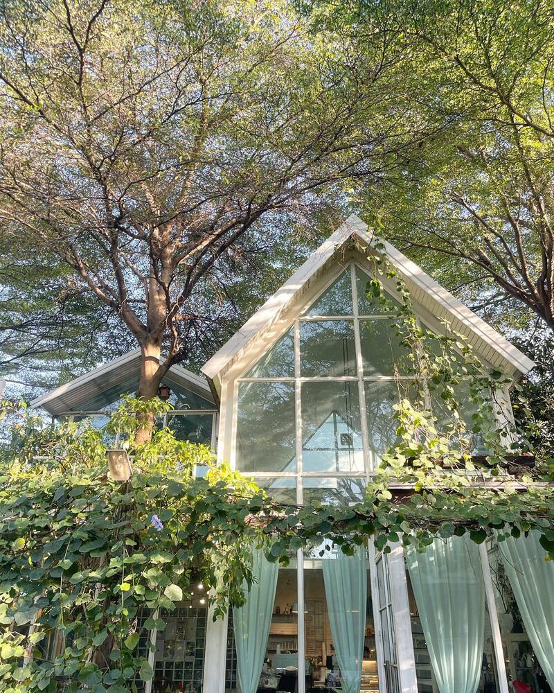 รวม 17 คาเฟ่ (cafe) น่านั่ง บรรยากาศสุดชิลแบบ slow life แถม free wifi บรรยากาศดีน่าถ่ายรูป!