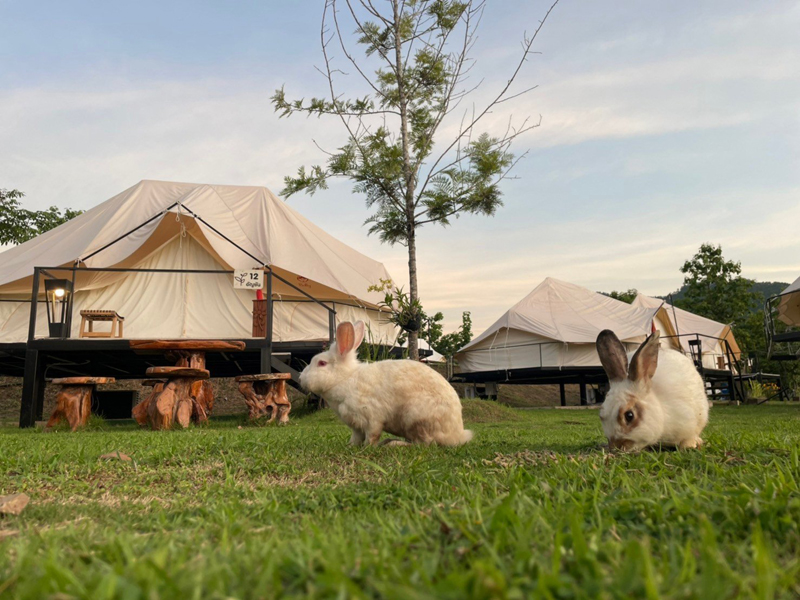 top 8+ ที่พักเชียงคาน 2567 เปิดใหม่ ใกล้ถนนคนเดิน ริมโขง บรรยากาศดี ราคาถูก