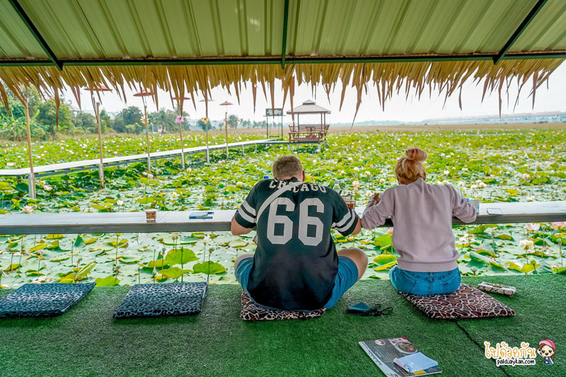 ก๋วยเตี๋ยวเรือบัวนา, ก๋วยเตี๋ยวเรือบัวนา คลอง 7, ก๋วยเตี๋ยวเรือลำลูกกา, ก๋วยเตี๋ยวเรือบัวนา คลอง 7 ทานก๋วยเตี๋ยวกลางนาบัว