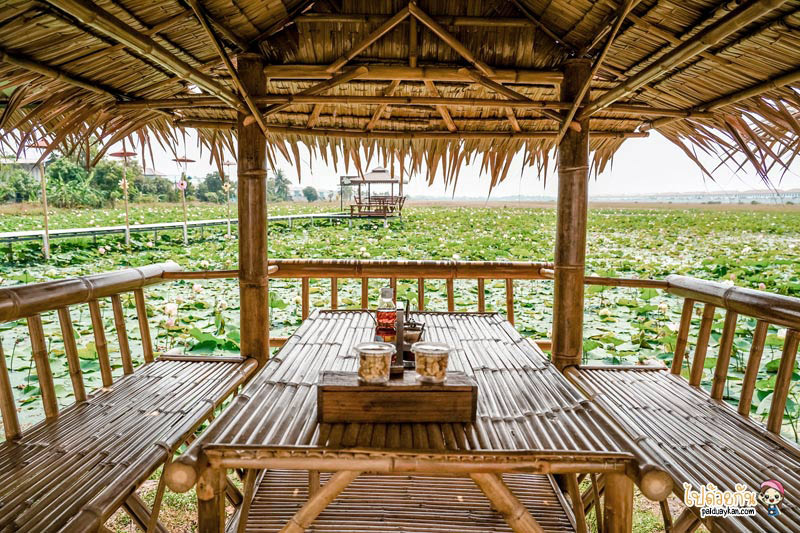 ก๋วยเตี๋ยวเรือบัวนา, ก๋วยเตี๋ยวเรือบัวนา คลอง 7, ก๋วยเตี๋ยวเรือลำลูกกา, ก๋วยเตี๋ยวเรือบัวนา คลอง 7 ทานก๋วยเตี๋ยวกลางนาบัว