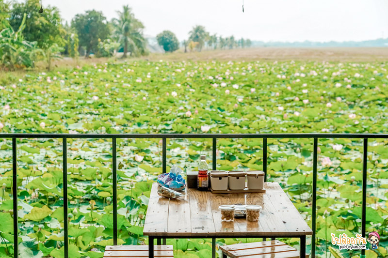ก๋วยเตี๋ยวเรือบัวนา, ก๋วยเตี๋ยวเรือบัวนา คลอง 7, ก๋วยเตี๋ยวเรือลำลูกกา, ก๋วยเตี๋ยวเรือบัวนา คลอง 7 ทานก๋วยเตี๋ยวกลางนาบัว