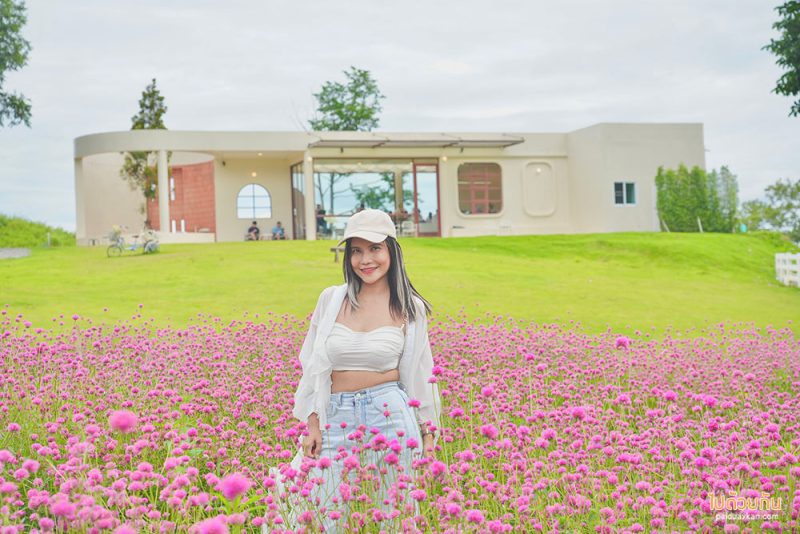 เที่ยวเขาใหญ่, คาเฟ่เขาใหญ่, floryday cafe, floryday cafe คาเฟ่สวนดอกไม้เขาใหญ่ คลุมโทนเกาหลี