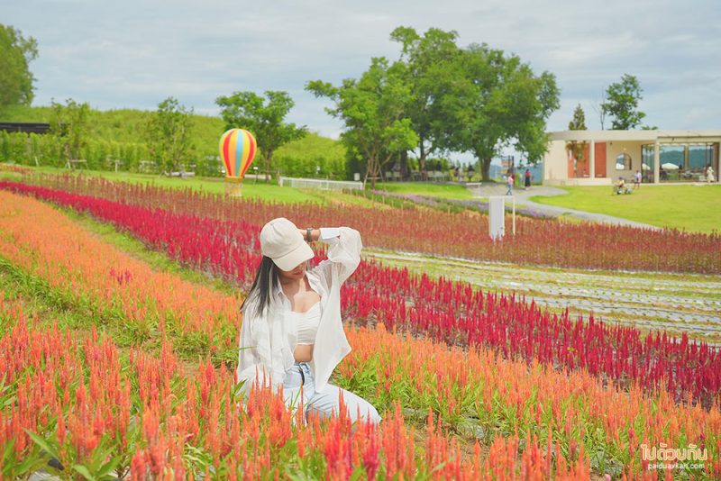 เที่ยวเขาใหญ่, คาเฟ่เขาใหญ่, floryday cafe, floryday cafe คาเฟ่สวนดอกไม้เขาใหญ่ คลุมโทนเกาหลี