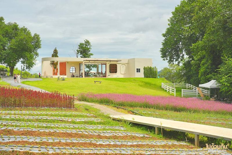 เที่ยวเขาใหญ่, คาเฟ่เขาใหญ่, floryday cafe, floryday cafe คาเฟ่สวนดอกไม้เขาใหญ่ คลุมโทนเกาหลี