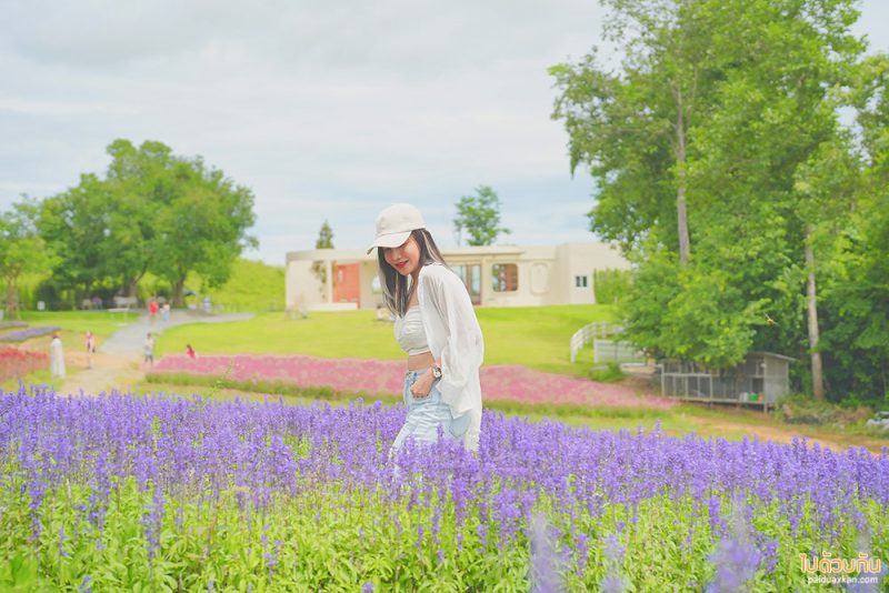 เที่ยวเขาใหญ่, คาเฟ่เขาใหญ่, floryday cafe, floryday cafe คาเฟ่สวนดอกไม้เขาใหญ่ คลุมโทนเกาหลี