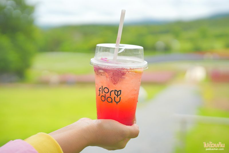 เที่ยวเขาใหญ่, คาเฟ่เขาใหญ่, floryday cafe, floryday cafe คาเฟ่สวนดอกไม้เขาใหญ่ คลุมโทนเกาหลี