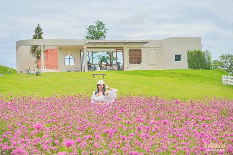 เที่ยวเขาใหญ่, คาเฟ่เขาใหญ่, floryday cafe, floryday cafe คาเฟ่สวนดอกไม้เขาใหญ่ คลุมโทนเกาหลี