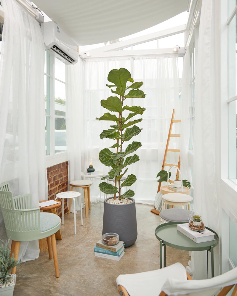 เที่ยวลาดกระบัง, คาเฟ่ลาดกระบัง, ร้านกาแฟลาดกระบัง, ลาดกระบัง, top 15+ คาเฟ่ลาดกระบัง ร้านไหนเด็ด ร้านไหนปัง ปักหมุดไว้