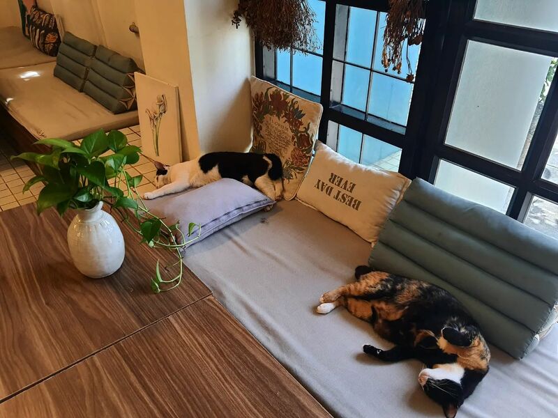 ร้านบรรยากาศดีสระบุรี ร้านดัง วิวดี น่าแวะชิล