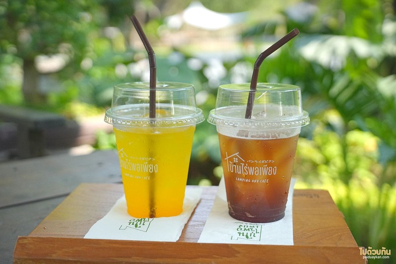 เที่ยวสระบุรี, คาเฟ่สระบุรี, บ้านไร่พอเพียง แคมป์ปิ้ง, คาเฟ่แก่งคอย, บ้านไร่พอเพียง แคมป์ปิ้ง&คาเฟ่ ร่มรื่นเขียวขจี สุดผ่อนคลาย 