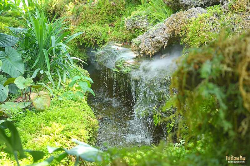 เที่ยวสระบุรี, คาเฟ่สระบุรี, บ้านไร่พอเพียง แคมป์ปิ้ง, คาเฟ่แก่งคอย, บ้านไร่พอเพียง แคมป์ปิ้ง&คาเฟ่ ร่มรื่นเขียวขจี สุดผ่อนคลาย 