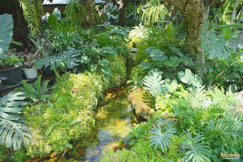 เที่ยวสระบุรี, คาเฟ่สระบุรี, บ้านไร่พอเพียง แคมป์ปิ้ง, คาเฟ่แก่งคอย, บ้านไร่พอเพียง แคมป์ปิ้ง&คาเฟ่ ร่มรื่นเขียวขจี สุดผ่อนคลาย 