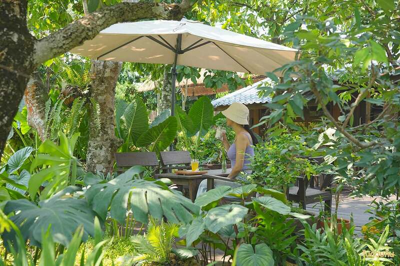 เที่ยวสระบุรี, คาเฟ่สระบุรี, บ้านไร่พอเพียง แคมป์ปิ้ง, คาเฟ่แก่งคอย, บ้านไร่พอเพียง แคมป์ปิ้ง&คาเฟ่ ร่มรื่นเขียวขจี สุดผ่อนคลาย 