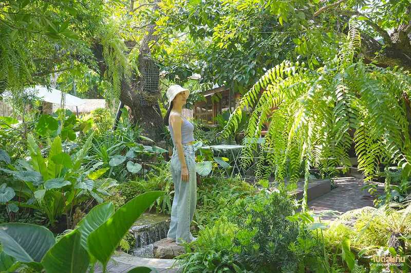 เที่ยวสระบุรี, คาเฟ่สระบุรี, บ้านไร่พอเพียง แคมป์ปิ้ง, คาเฟ่แก่งคอย, บ้านไร่พอเพียง แคมป์ปิ้ง&คาเฟ่ ร่มรื่นเขียวขจี สุดผ่อนคลาย 