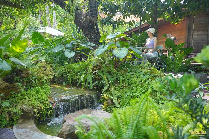 เที่ยวสระบุรี, คาเฟ่สระบุรี, บ้านไร่พอเพียง แคมป์ปิ้ง, คาเฟ่แก่งคอย, บ้านไร่พอเพียง แคมป์ปิ้ง&คาเฟ่ ร่มรื่นเขียวขจี สุดผ่อนคลาย 