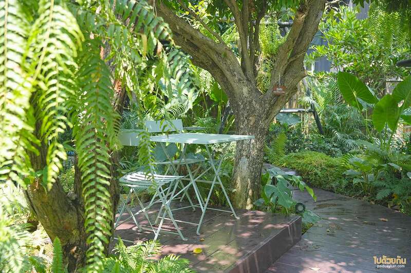 เที่ยวสระบุรี, คาเฟ่สระบุรี, บ้านไร่พอเพียง แคมป์ปิ้ง, คาเฟ่แก่งคอย, บ้านไร่พอเพียง แคมป์ปิ้ง&คาเฟ่ ร่มรื่นเขียวขจี สุดผ่อนคลาย 