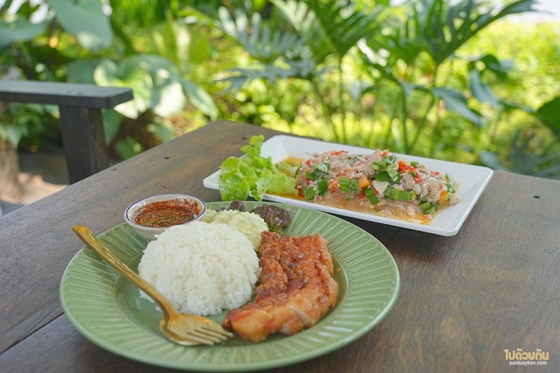 เที่ยวสระบุรี, คาเฟ่สระบุรี, บ้านไร่พอเพียง แคมป์ปิ้ง, คาเฟ่แก่งคอย, บ้านไร่พอเพียง แคมป์ปิ้ง&คาเฟ่ ร่มรื่นเขียวขจี สุดผ่อนคลาย 