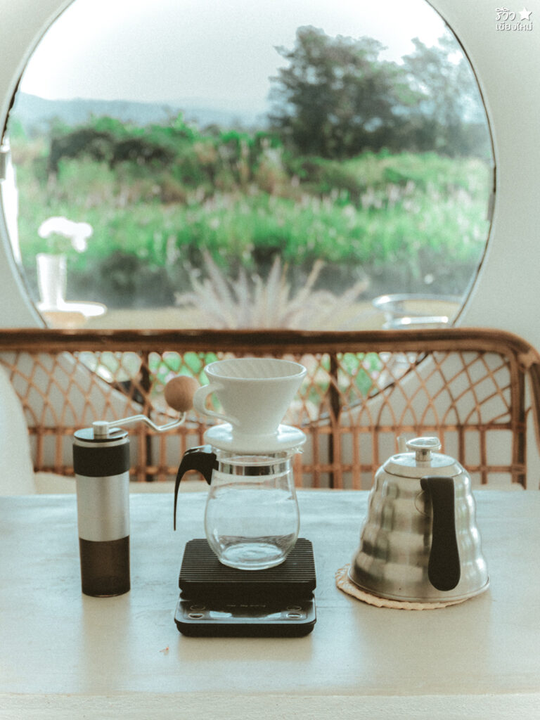 คาเฟ่เชียงใหม่, ช้างไทย, ที่เที่ยว เชียงใหม่, ที่เที่ยวเชียงใหม่, เปิดร้านคาเฟ่ เพื่อเลี้ยงน้องช้าง elely cafe mae ping bistro