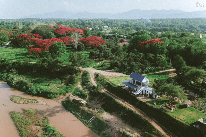 คาเฟ่เชียงใหม่, ช้างไทย, ที่เที่ยว เชียงใหม่, ที่เที่ยวเชียงใหม่, เปิดร้านคาเฟ่ เพื่อเลี้ยงน้องช้าง elely cafe mae ping bistro